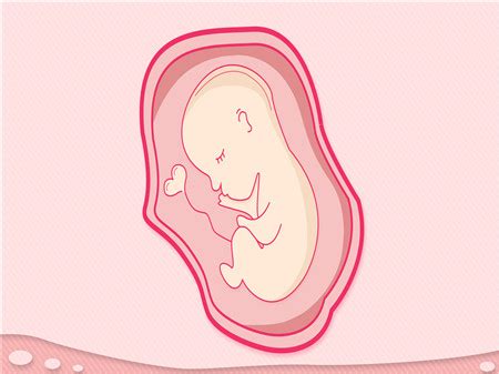 怀孕5周胎儿发育了什么