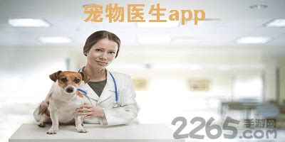 宠物生病在线咨询的APP有哪些?