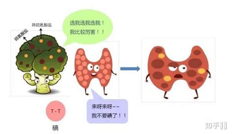 藏红花对甲状腺炎有疗效吗?