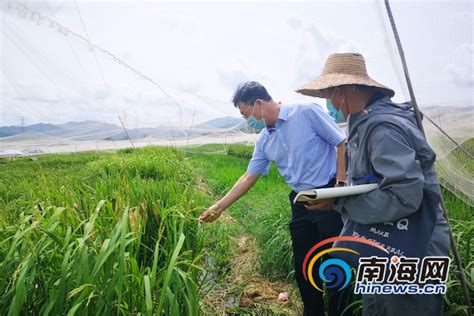 周春义的个性微博说说（共计70条）