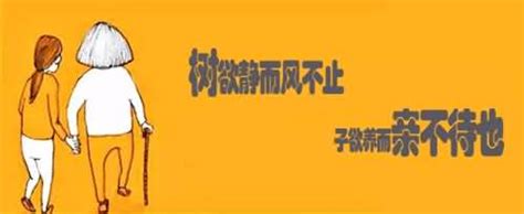 父母的说说经典句子