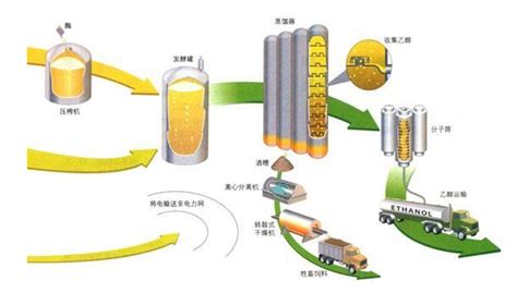 大量使用乙醇作为燃料与粮食供应紧张有什么关系、