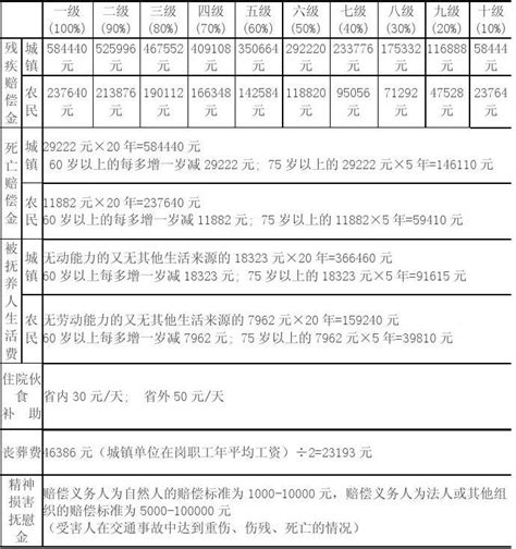 江西瑞昌交通事故十级伤残标准