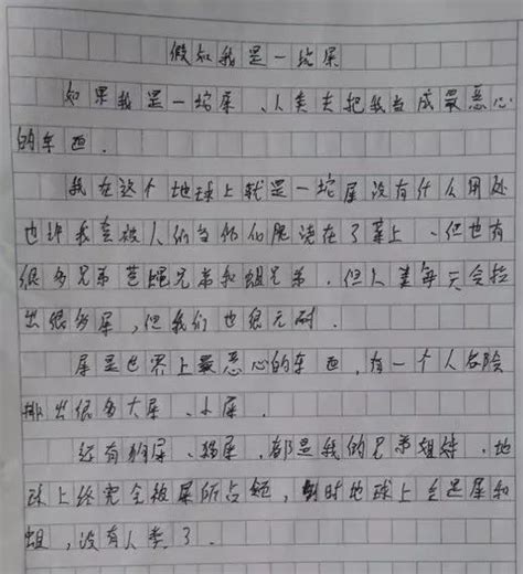 给希望小学学生的一封信作文400字(共计7则)