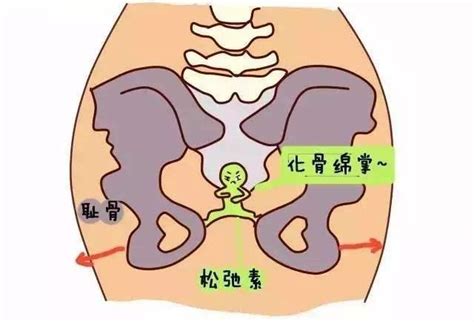 孕期骶骨疼痛剧烈