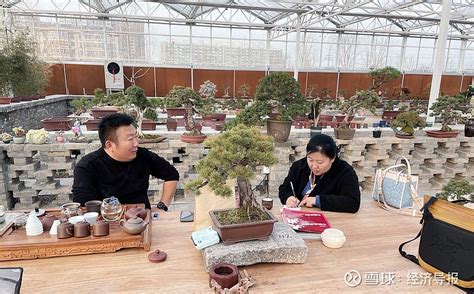 济南福莱花卉批发市场在哪