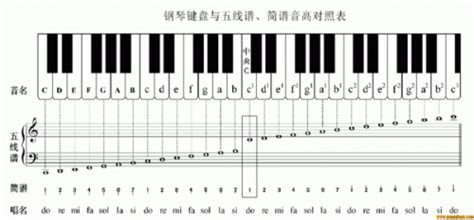 钢琴音区名称及琴键名称对照表