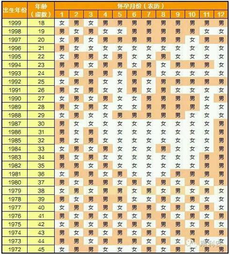清宫生育图2020年