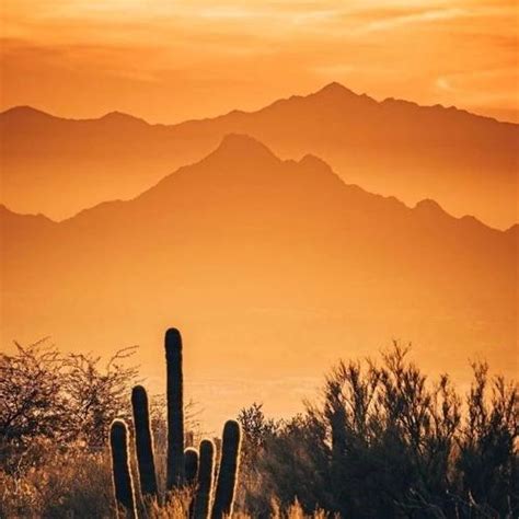 最流行的微信说说