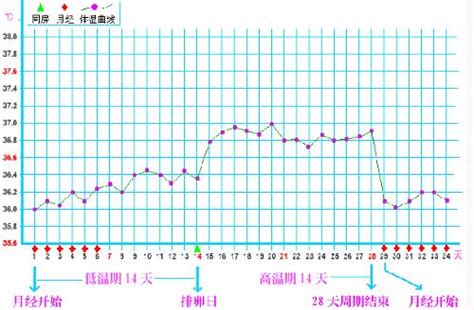 体温保持在36.5文案