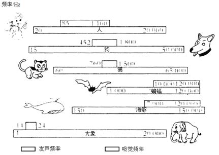 宝宝听胎教音乐
