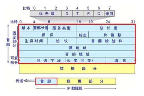 Dmax和Dmm分别表示直径的什么啊