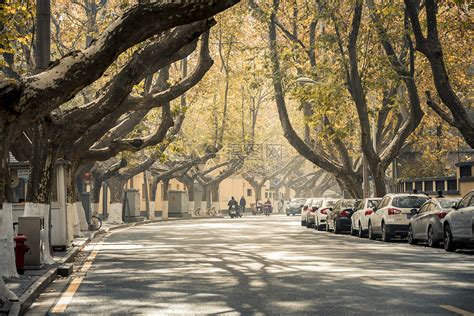 散步风景说说心情