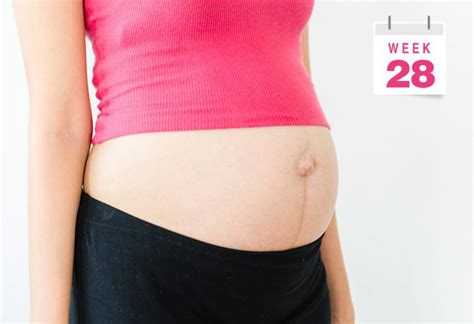 1-40周胎儿详细发育数据