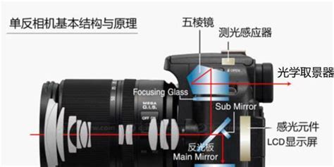 单反相机和数码相机的区别