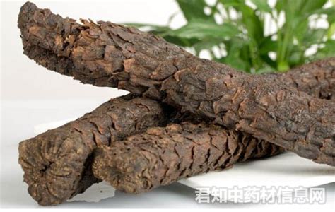 肉苁蓉的鉴别方法是什么？