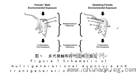 化学品对胎儿的危害