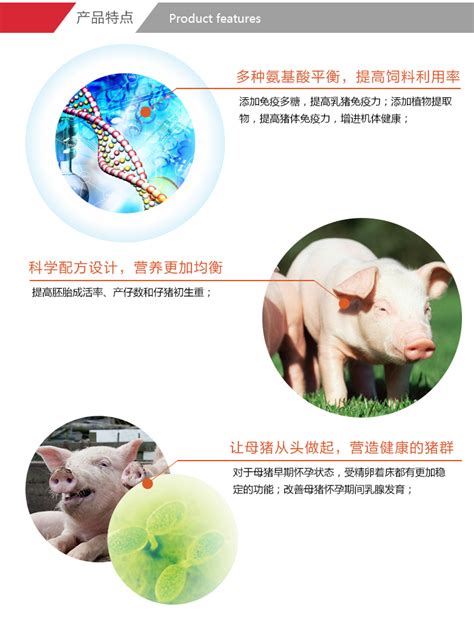 母猪怀孕用试纸价格