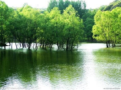 遗落人间的仙境文案【精选63句】