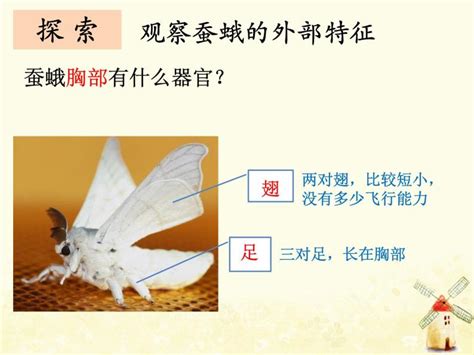 结茧_优秀作文450字(共计10篇)