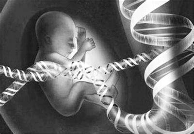 4种家电可能会导致胎儿畸形