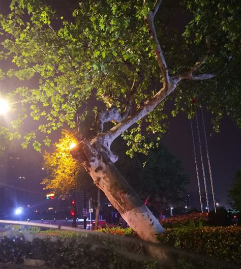 夜晚安静独处经典句子