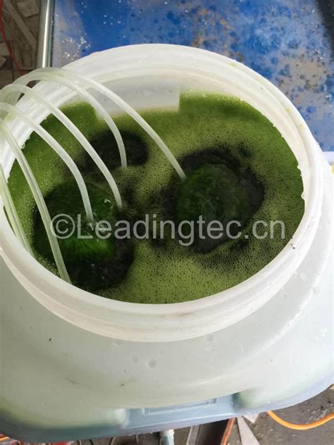 提升孩子免疫力的方法