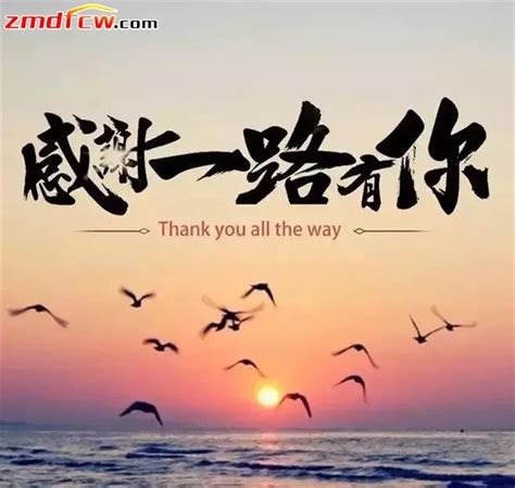 短暂的陪伴文案