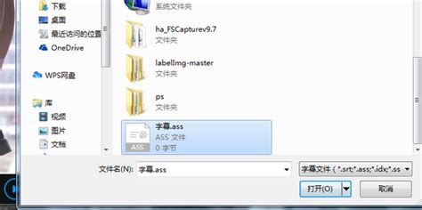 ASS 文件是什么类型的文件?