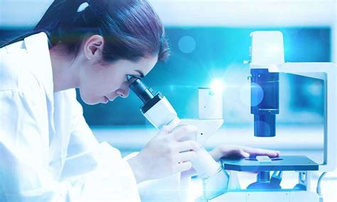 试管鲜胚几级能冷冻