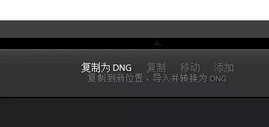 求助 关于DNG格式