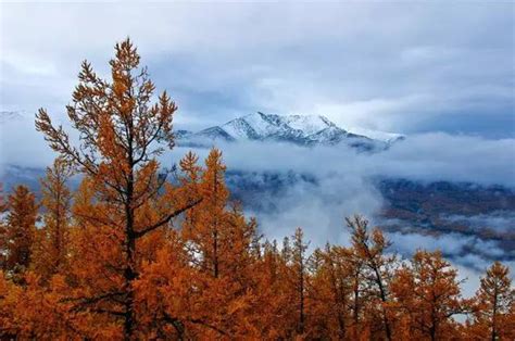 西北的秋，新疆九月，是摄影师的天堂