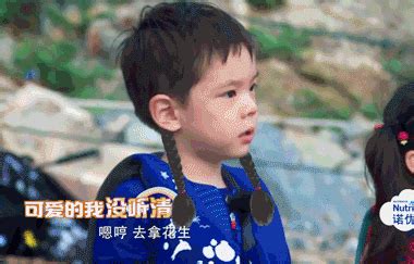 嗯哼个人资料