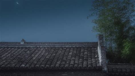 仙气到极致的诗句