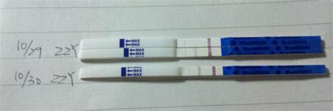 金秀儿和大卫怀孕试纸哪个靠谱