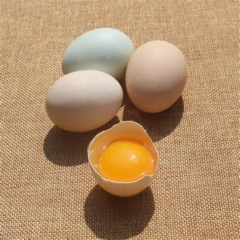 鸡蛋中添加斑蝥黄对人体有害吗