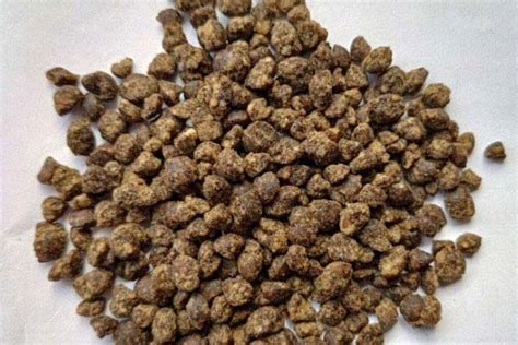水溶性肥料哪個公司的好