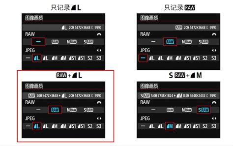 GIF,JPEG,DXF,DWG,SVG,HPGL PDF 各是什么格式