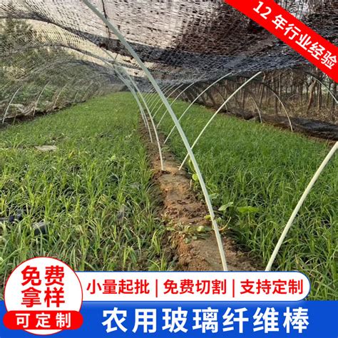 請(qǐng)教野營(yíng)帳篷的支架玻璃纖維桿好還是鋁合金桿好?
