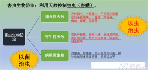 森林有害生物防治的主要技术方法有哪些