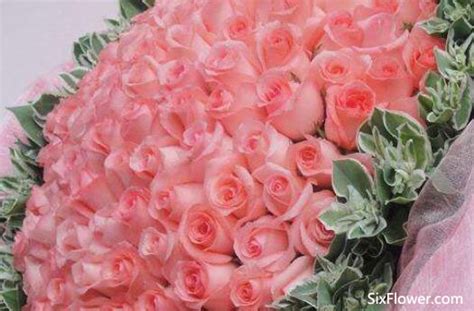 粉玫瑰花语是什么?