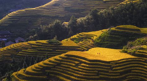 十五号想去桂林旅游,请问,桂林哪好玩,哪风景好,怎么走,那边比起玉林会很冷吗?谢谢各位.