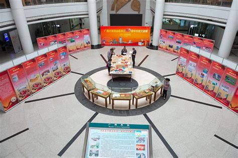 广西壮族自治区图书馆也就是民族大道那个,能不能上网、网速怎么样;要不要收费? 有没有电信wifi?