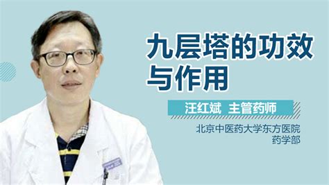 抑制剂和活化剂的作用机理有哪些