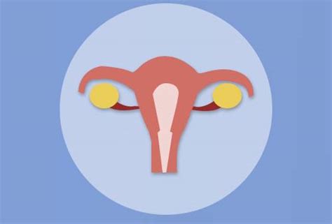 子宫肌瘤的症状有哪些表现