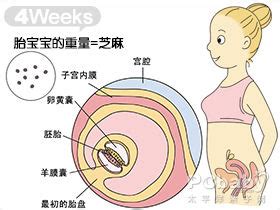 孕期个月胎教重点