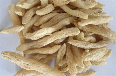 合生元真假鉴别方法