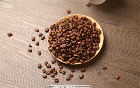 咖啡豆中度和深度哪个油脂高