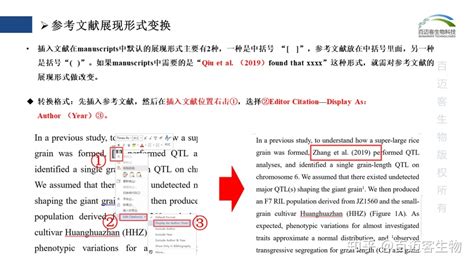 论文的参考文献可以有法律法规吗,格式是什么