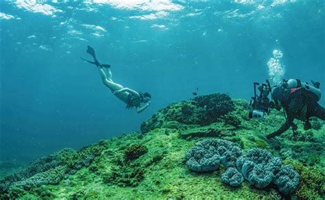 打卡海南潜水胜地：潜到海底，做一条自在的鱼